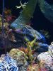 Baltimore Aquarium 031502