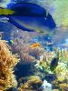 Baltimore Aquarium 031502