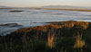 Shoreline at low tide: 032702