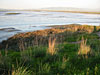 Shoreline at low tide: 032702