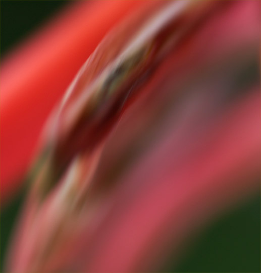 redhotinmotion_crop.jpg