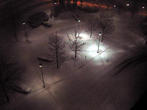 looking down on the falling snow