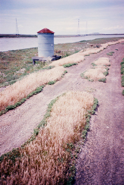 alviso10.jpg