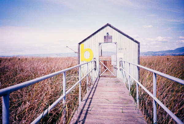 alviso24.jpg