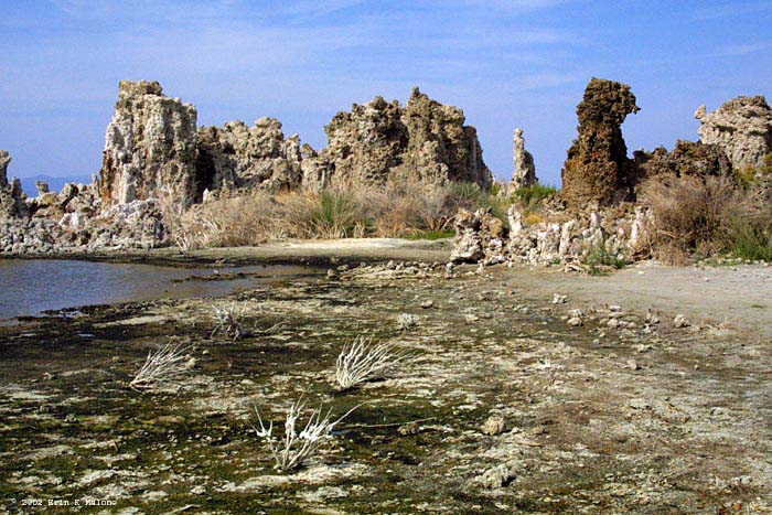 Tufa formations at Mono Lake