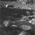 Alabama Hills Vista