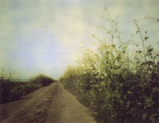 The Path