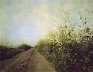 The Path