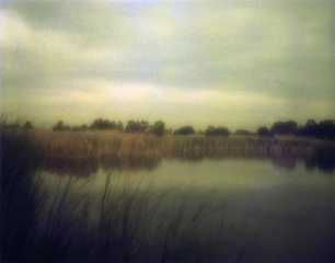 Hidden Pond