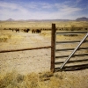 Behind the Line