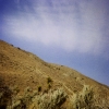 California Desert