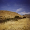 Golden Hills