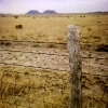 Barbed Wire