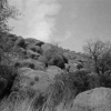 Texas Rocky Terrain