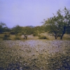 Rocky Landscape