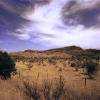 Marfa Landscape
