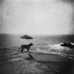 Between the Cliff-rise and the Beach
