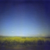 Ribbon of Yellow