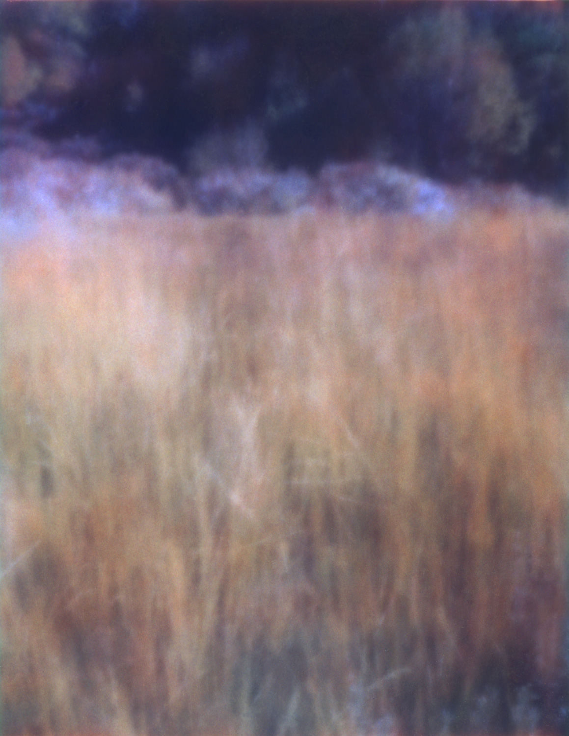 grassaspens-sm