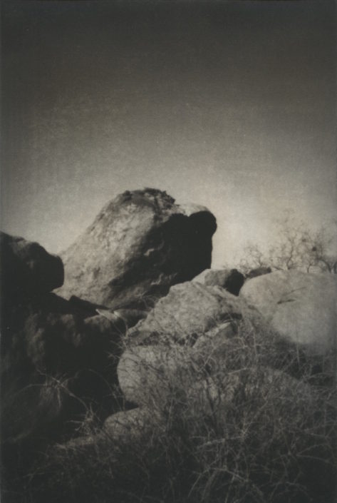 Rocky Branches - Joshua Tree